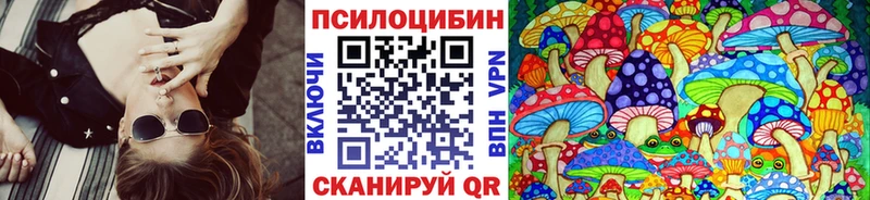 Купить где  Новокубанск  Псилоцибиновые грибы Psilocybine cubensis 